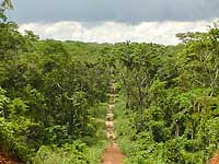 Origine du bois : 30 000 ha de foret dAmrique latine, certifie FSC