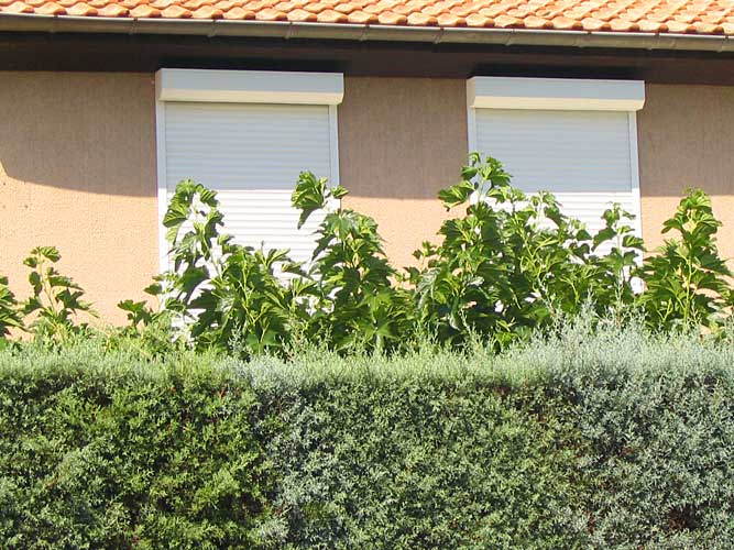Cliquer pour fermer la fentre -  Volet roulant renovation coffre modele pan coupe